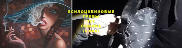 наркотики Богородск