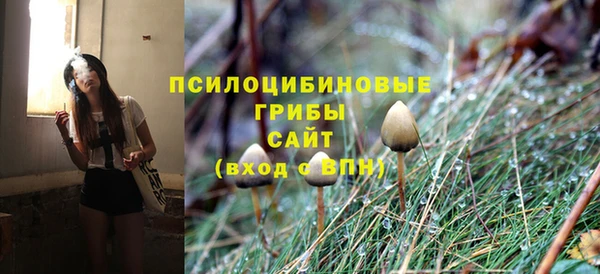 мдма Богородицк