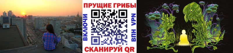 гидра как зайти  Краснокаменск  Галлюциногенные грибы Cubensis 